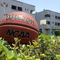 美国教案?!Wilson威尔胜EVOLUTION全美高神器高中英语人教一版v教案图片