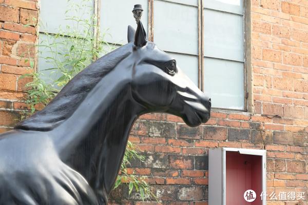 SONY 索尼 DSC-RX100 M3 黑卡数码相机,人像