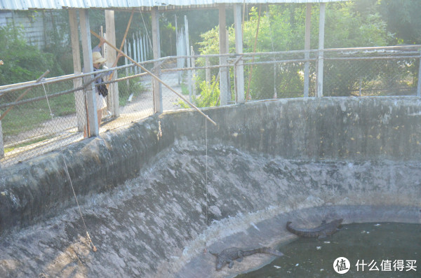 泰国旅游游记 | 泰国跟团游行程_曼谷旅游攻略