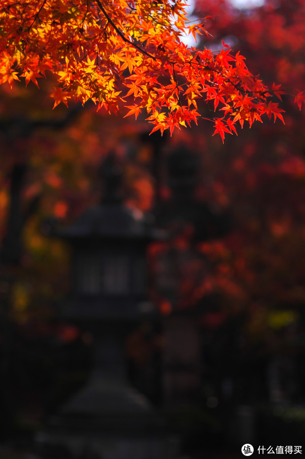 日本关西旅游攻略 | 关西交通攻略_关西购物攻略