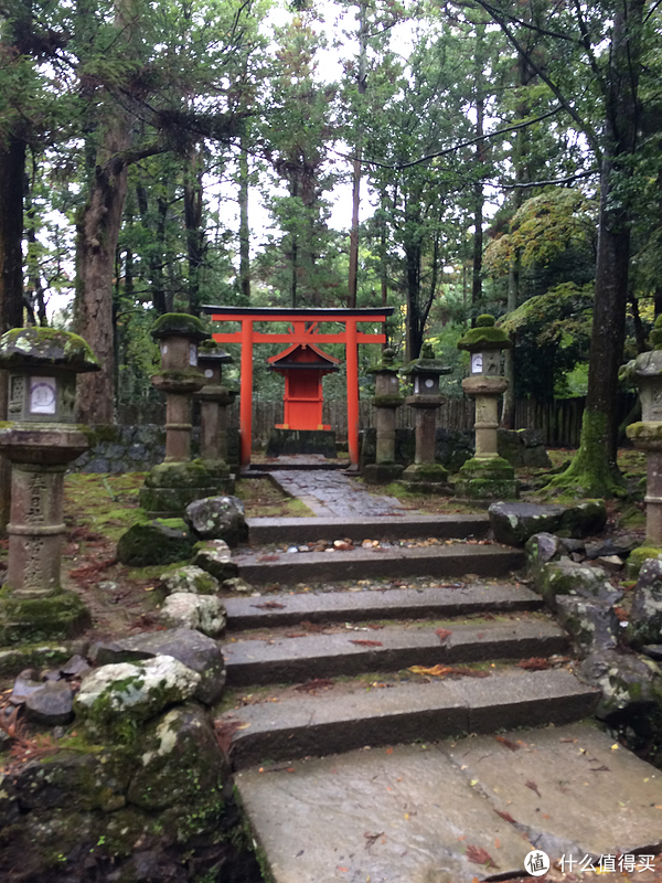 奈良一日游攻略 | 奈良景点介绍_大阪到奈良的