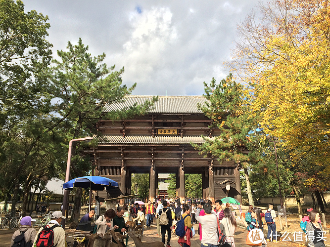 奈良一日游攻略 | 奈良景点介绍_大阪到奈良的