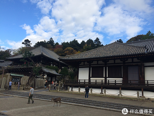 奈良一日游攻略 | 奈良景点介绍_大阪到奈良的