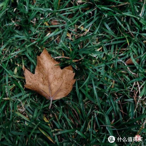 入手 Sony A7R2 和 Metabones EF-E 马克4转接