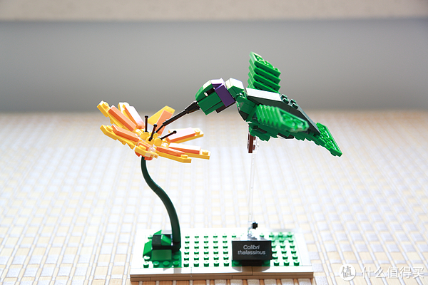 等一朵花开的时间:LEGO 乐高 21301 鸟类模型