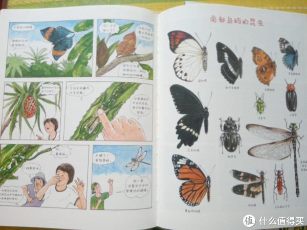 576d1c08a4c47.jpg_e600.jpg