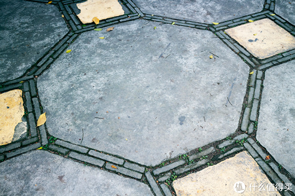 佳能EF-M 22mm F2 STM定焦镜头测评 | 不同光