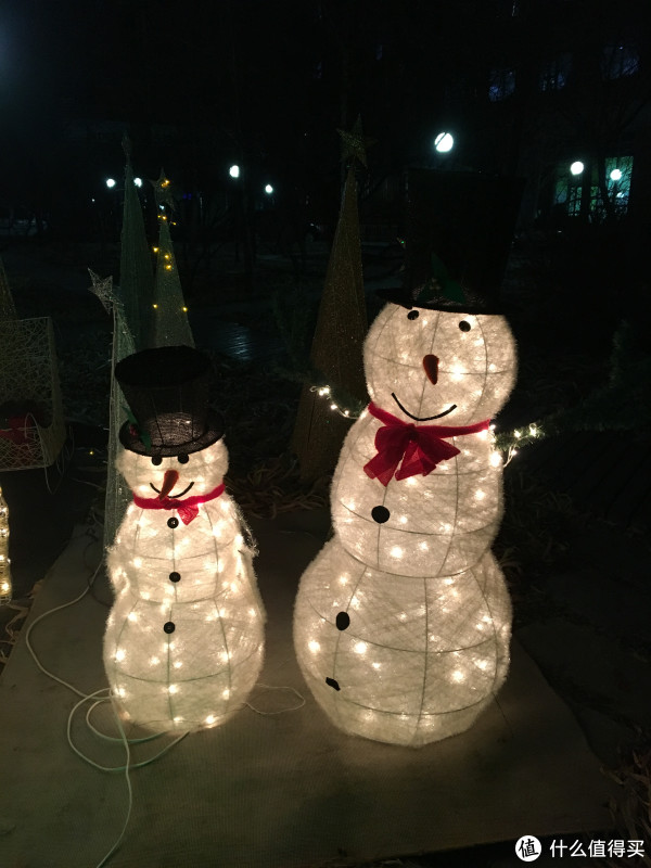 #我的2016#爱生活的生活家和居委会的张大妈