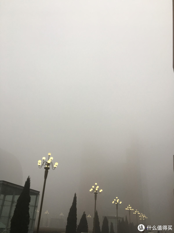 #我的2016#爱生活的生活家和居委会的张大妈