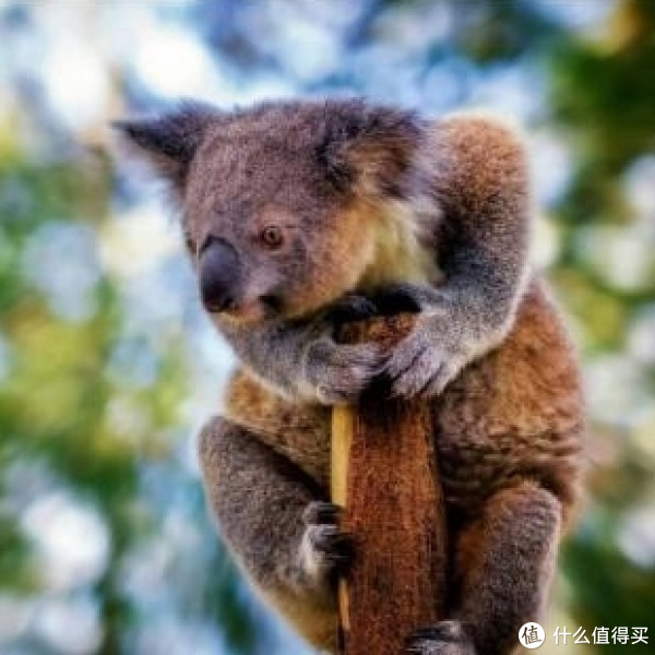 五星级酒店怎么选 | 如何更加划算的入住豪华酒店