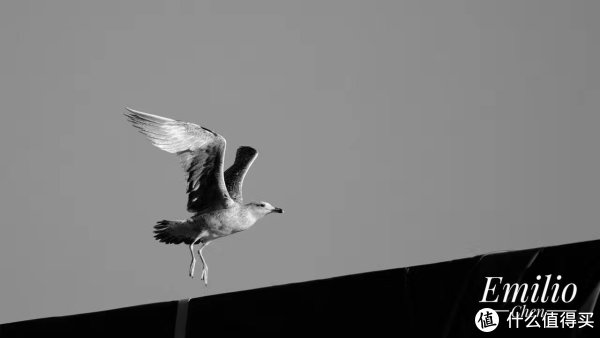 Fujifilm富士 微单XF系列镜头选购宝典