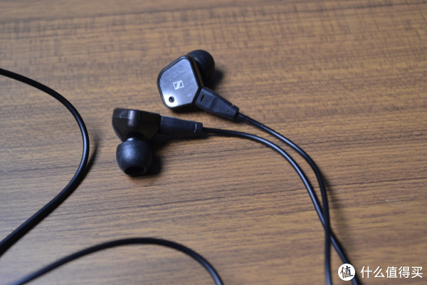 #原创新人#一股清流:这个女毒不太冷,这只鸟