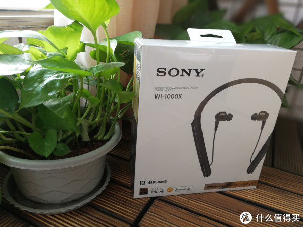 苦等一个月的索尼小兄弟-SONY 索尼 WI-1000